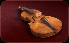 Violin